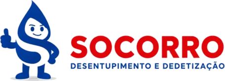 Logo Desentupidora em Chapecó